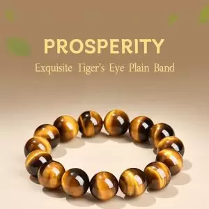 Natural Tiger Eye Stone Bracelet Feng Shui Wealth Lucky Beads Couples Jewelry for Men and Women